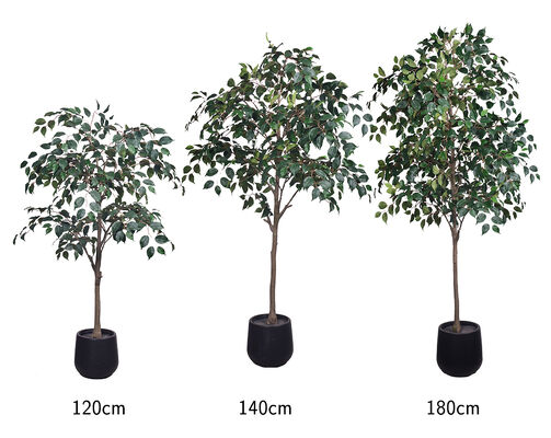 Realistic D-Style Artificial Stereo Ficus Tree | Custom Flame Retardant & UV Resistant Fake Banyan Plant, 120/140/180cm, Uniform Packaging with Black Pot for Commercial & Home Interior Decor