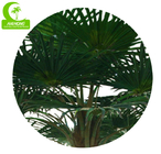 Handmade PE Leaf 450cm Fake Outdoor Tropical Plants For Star Hotel