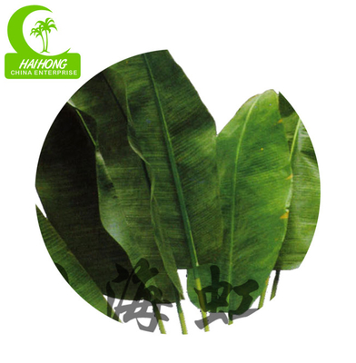 Beautiful 280cm Artificial Traveller's Palm Large Size Plant Garden Landscaping And Indoor Decor