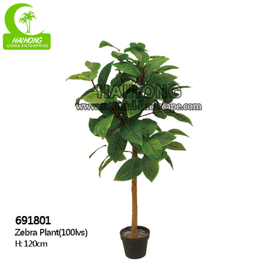 Good-Looking Homesense Artificial Plants Artificial Zebra Plant Garden Decor
