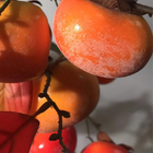 Anti Fading Artificial Persimmon Red Fruit Tree Home Desktop Soft Decoration