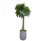 SGS UV Resistance Artificial Money Tree For Home Decoration Green Color Indoor Plants