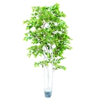 Ornamental Plant Artificial Radermachera Sinica Natural Greening For Home Decoration