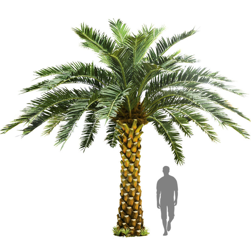 No Nursing Store Artificial Landscape Trees Big Date Palm Tree