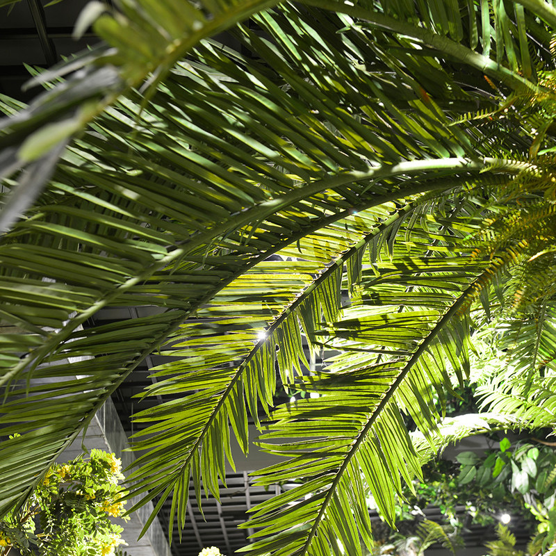 Custom Artificial Date Tree For Theme Park Hotels Easy To Install Low