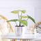 Bedroom Artificial Potted Floor Plants Plastic Philodendron Birkin