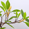 Real Looking Artificial Mangrove Waterpoof Bathroom Decoration Plant