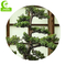 Indoor Decoration Anti Fading Artificial Black Pine Bonsai Real Touch