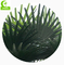 UV Resistance H700cm Artificial Tropical Tree , Fake Palm Plant Indoor