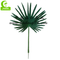 UV Resistance H700cm Artificial Tropical Tree , Fake Palm Plant Indoor