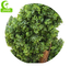 Special Design Artificial Topiary Tree , 6ft Fake Plant Single Trunk