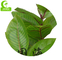 Durable 85cm Green Plastic Leaves For Decoration , Plastic Green Leaves Lifelike