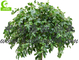 Fire Retardant Aesthetic Faux Ficus Plant , 8ft Artificial Palm Tree In Green