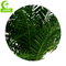 Luxury 400cm Artificial Tropical Tree For Garden Landscaping