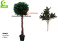 No Nursing Height 160cm Artificial Topiary Tree For Restaurant
