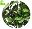 Lifelike Wiind Resistance Artificial Money Tree Plant , 5ft Outdoor Artificial Tree