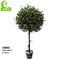 Anti Aging 110cm High Artificial Foliage Tree , Olive Tree Faux Plant Realistic