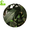 Wholesale Realistic 180cm Artificial Olive Tree For Garden Indoor Decoration