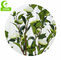 150cm Durable Artificial Ficus Tree . Artificial Camellia Tree With White Flower