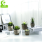 Green Real Touch 11.5cm Artificial Succulent Plant For Desktop