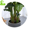 HAIHONG High Simulation Artificial Potted Floor Plants 160cm