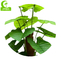 High Quality Big Leaves Artificial Plant Artificial Pothos Tree For Indoor Decoration