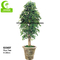 Flame Retardant H180cm Artificial Ficus Plant , Ficus Fake Tree Natural Look