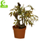 Natural Look 160cm Artificial Ficus Tree For Garden Decoration