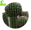 Durable High Simulation 120cm Artificial Cactus Plants In Pots For Indoor