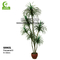 Rain Resistant Handmade Artificial Dracaena Plant H350cm
