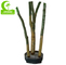 Anti Fading Height 200cm Artificial Decorative Trees HAIHONG