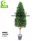 Lifelike Anti UV 6ft Artificial Outdoor Trees , Artificial Bay Leaf Tree For Garden