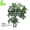 All Season 270cm Artificial Dracaena Plant , Dracaena Silk Plant For Landscaping