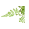30cm Height 12 Leaves Artificial Fern Bush , Fake Fern Leaves For Wall Decoration