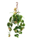 Realistic Real Touch Height 45cm Artificial Vine Plant For Living Room
