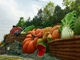 Cute Fruits And Vegetables Topiary Sculpture , Outdoor Garden Sculpture Colorful