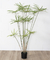 Height 155cm Artificial Potted Floor Plants Cyperus Eco Friendly