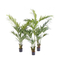 Height 220cm Green Artificial Plant For Indoor Decoration Kentia Palm Tree
