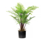 Height 80cm Artificial Potted Floor Plants For Home Office Table Decoration Nordic Fern