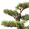 Height 60cm Welcoming Pine Green Artificial Plant Desk Decor