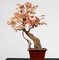 Red Chinese Style Artificial Potted Floor Plants Hotel Desk Decor Maple