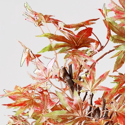 Red Chinese Style Artificial Potted Floor Plants Hotel Desk Decor Maple