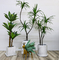 150cm Natural Artificial Potted Floor Plants House Decor Agave Tree