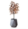 200cm Artificial Potted Floor Plants Simulated Fake Plant Colored Birch Tree Interior Decoration