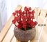 ODM Silver Color Artificial Succulent Plants For Home Desk