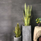 Artificial Potted Bonsai Agave Plant Landing Ornaments Indoor Decoration