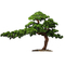 200cm Artificial Landscaping Trees Plant Welcome Pine Ornaments