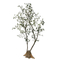 OEM Green Aglaia Tree Floral Artificial Potted Floor Plants House Ornamets