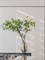Height 130cm Artificial Branches Hotel Lobby Indoor Furnishings Decoration