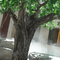 350cm Height Artificial Lucky Tree Potted Landscaping Plants